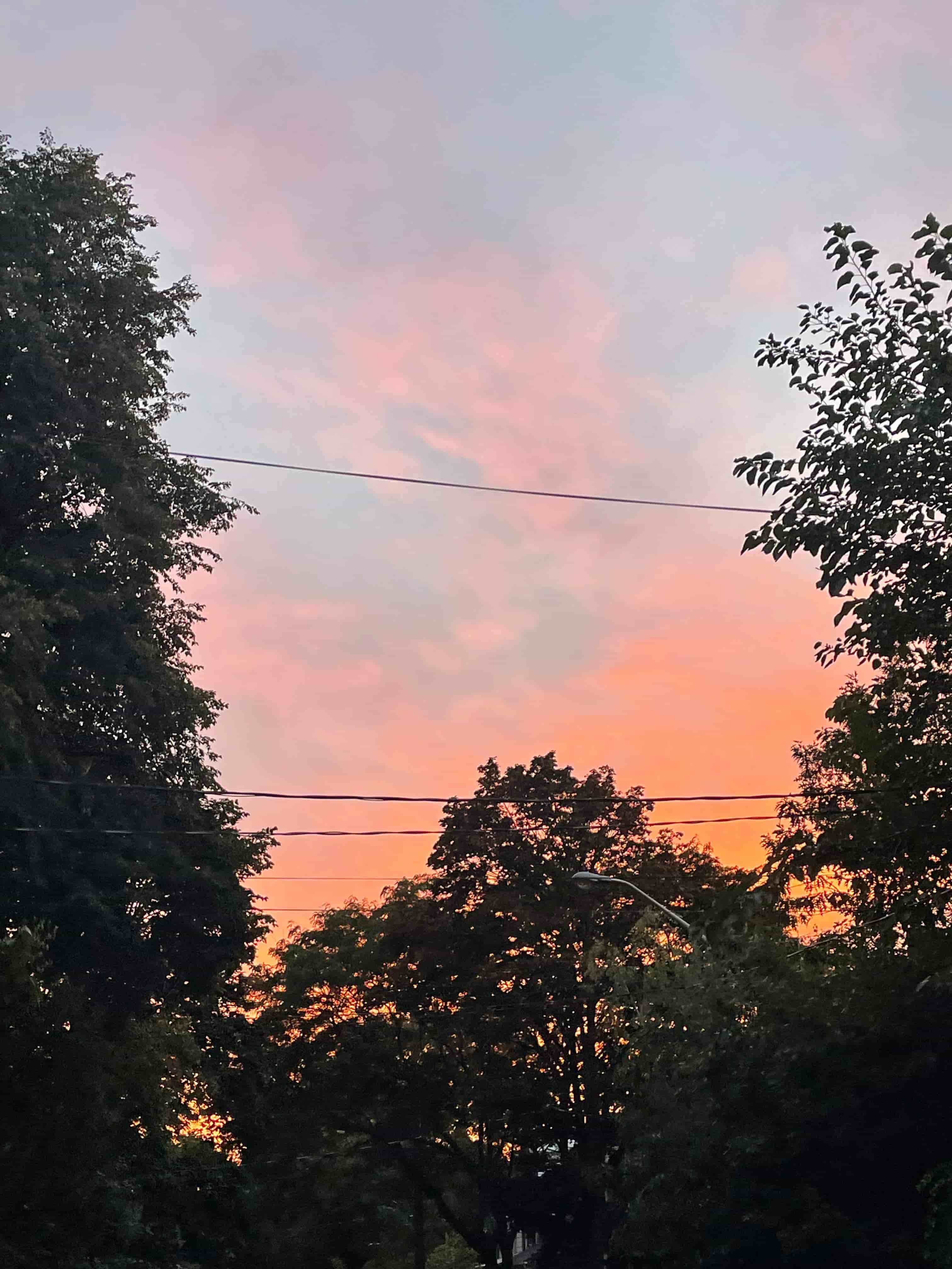 sunset pic